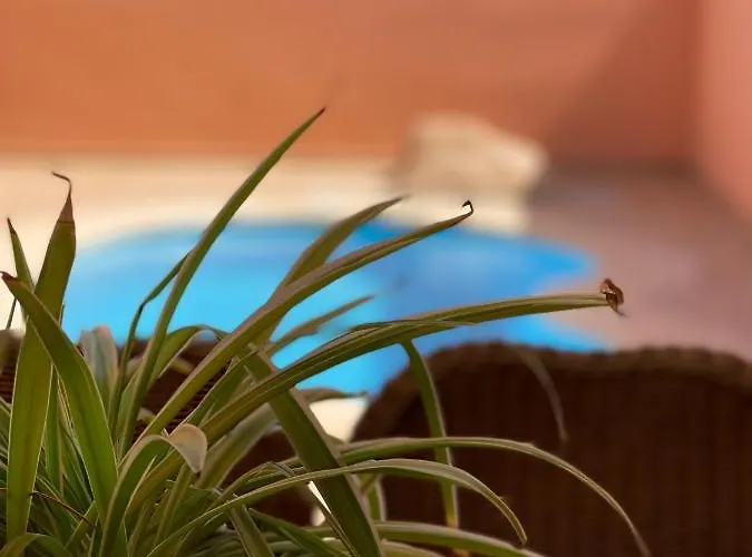 Bajo El Mar * 科斯塔卡莱塔